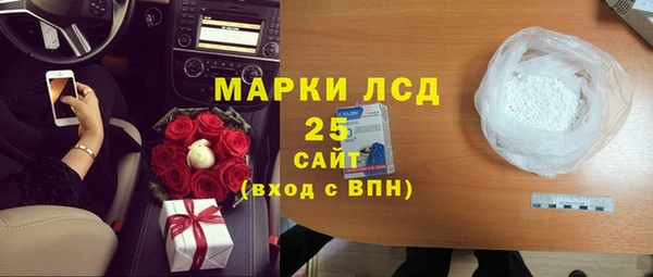шишки Белоозёрский