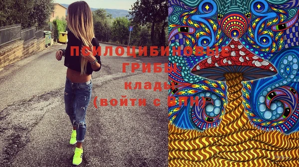 шишки Белоозёрский
