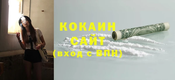 дмт Богданович