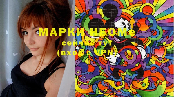 шишки Белоозёрский