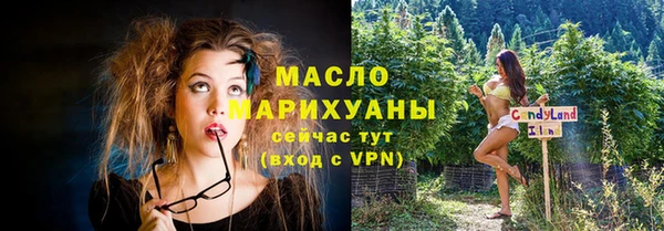 дмт Богданович
