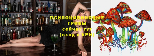 амф Беломорск