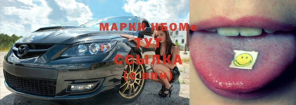 шишки Белоозёрский