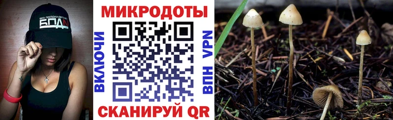 Галлюциногенные грибы прущие грибы Шебекино